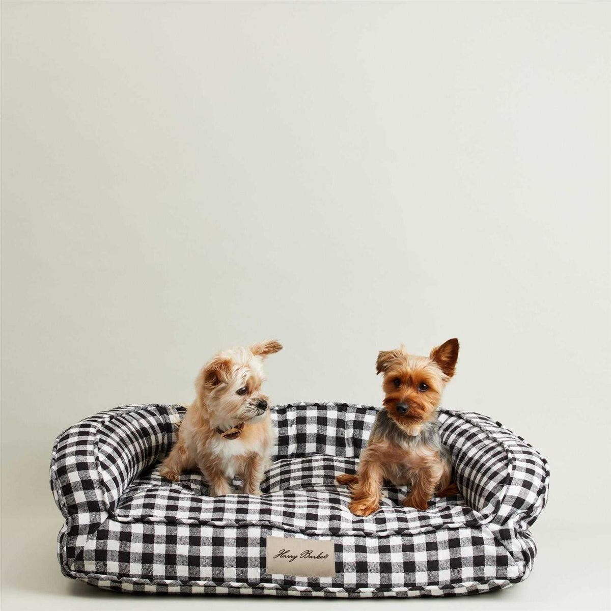 Buffalo Check Lounger Y39769
