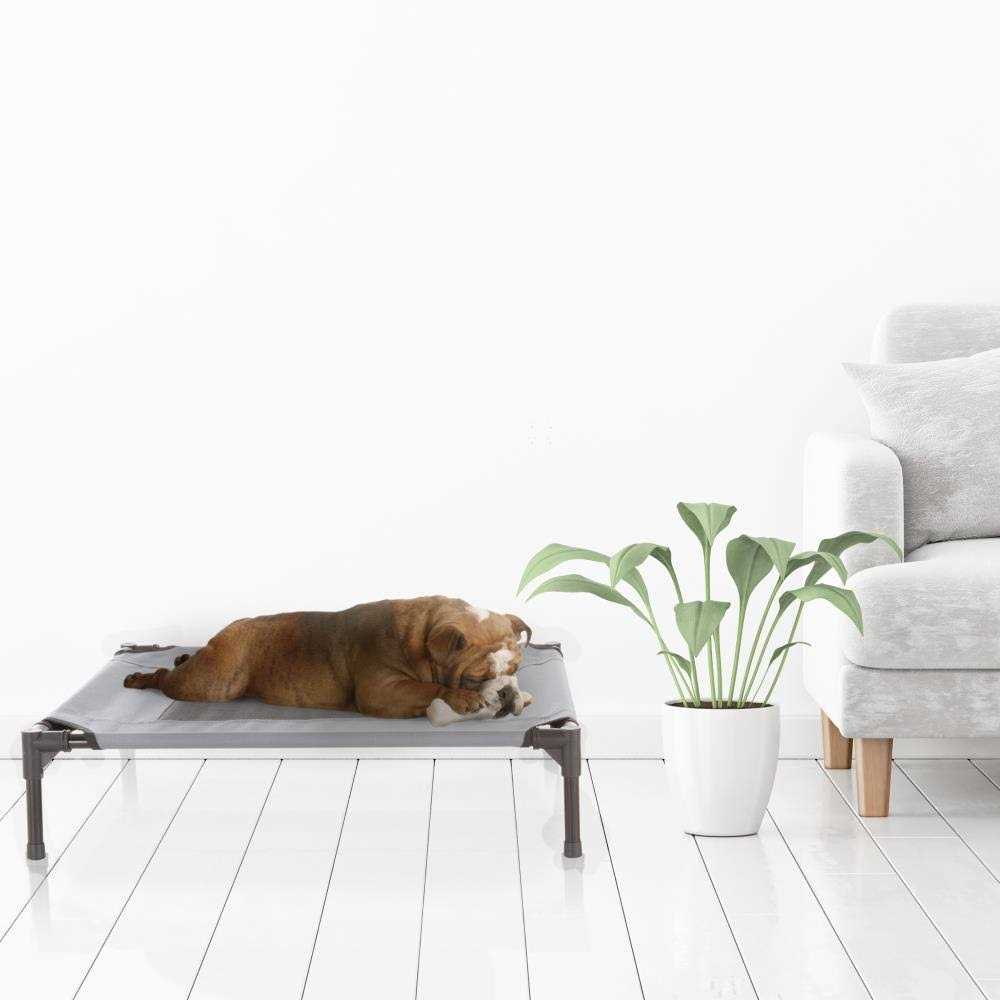 Cot-Style Elevated Pet Bed L74362