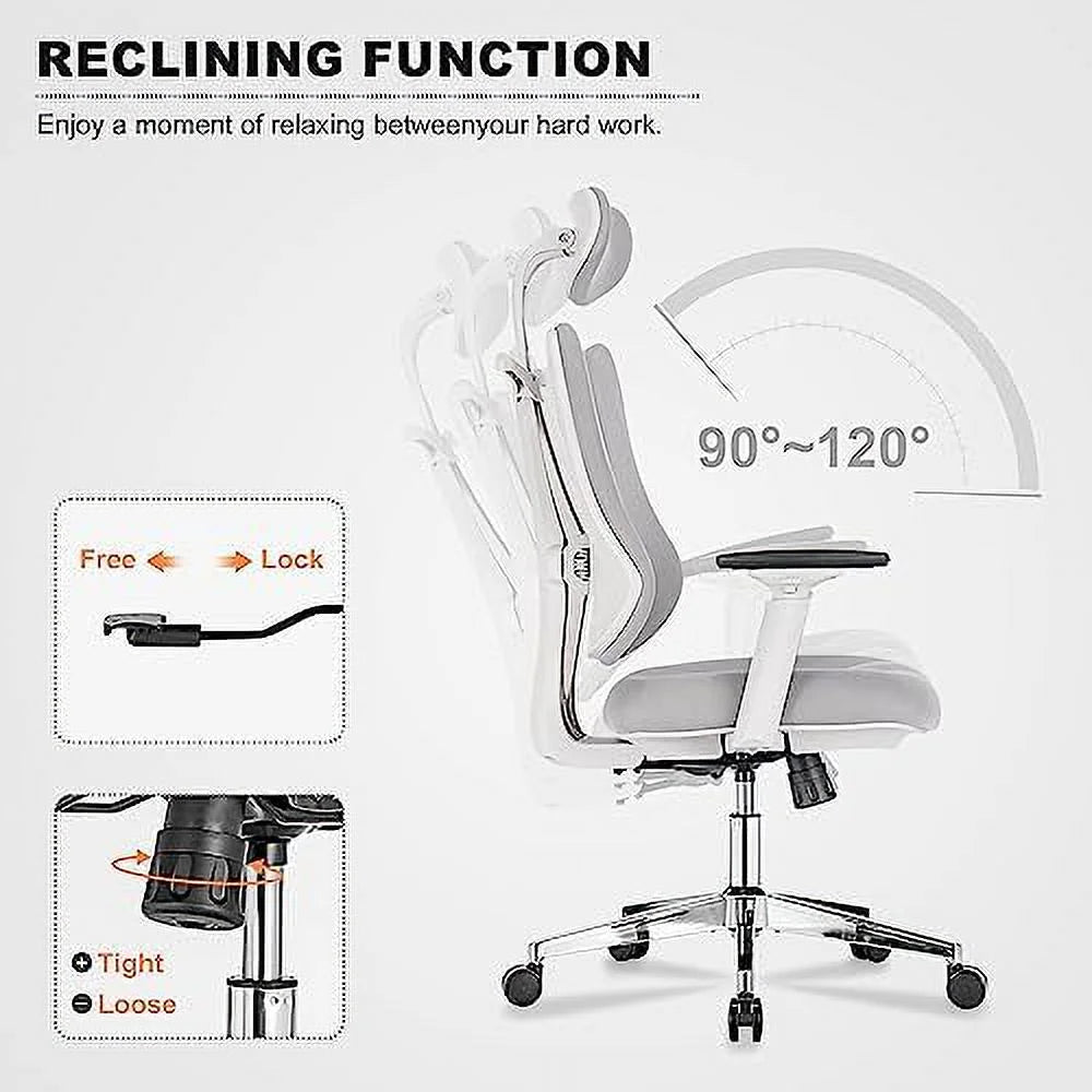 Ergonomic Office Chair with Lumbar Support Y3575