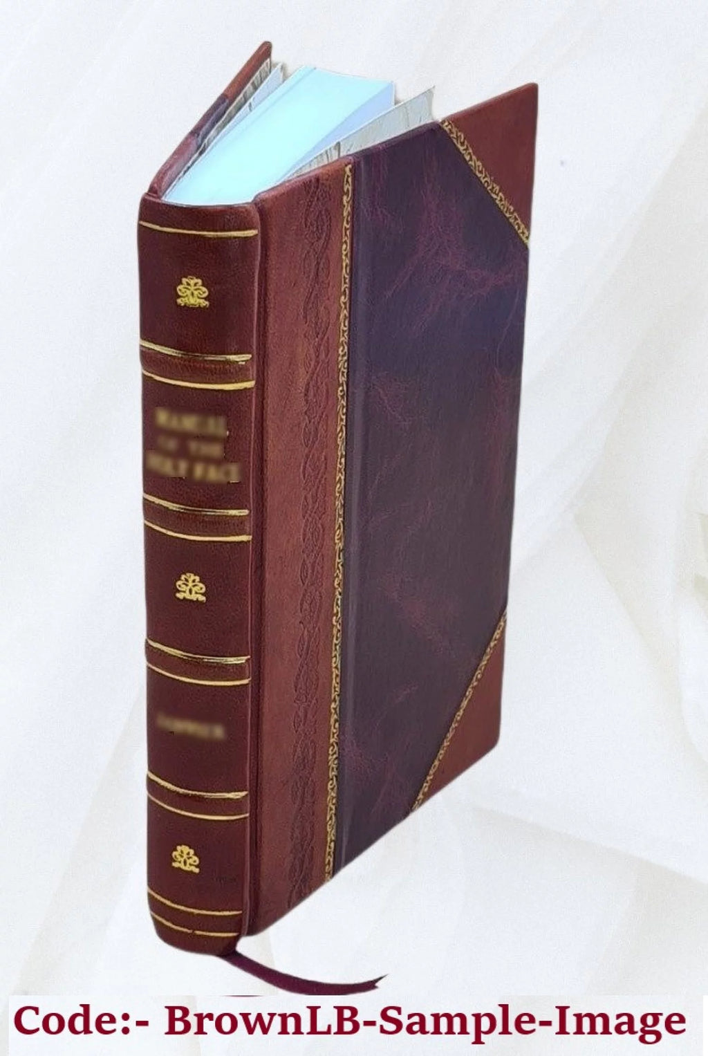 Department of the Interior Office of Education Volume no.250 1949 Leather Bound E45180