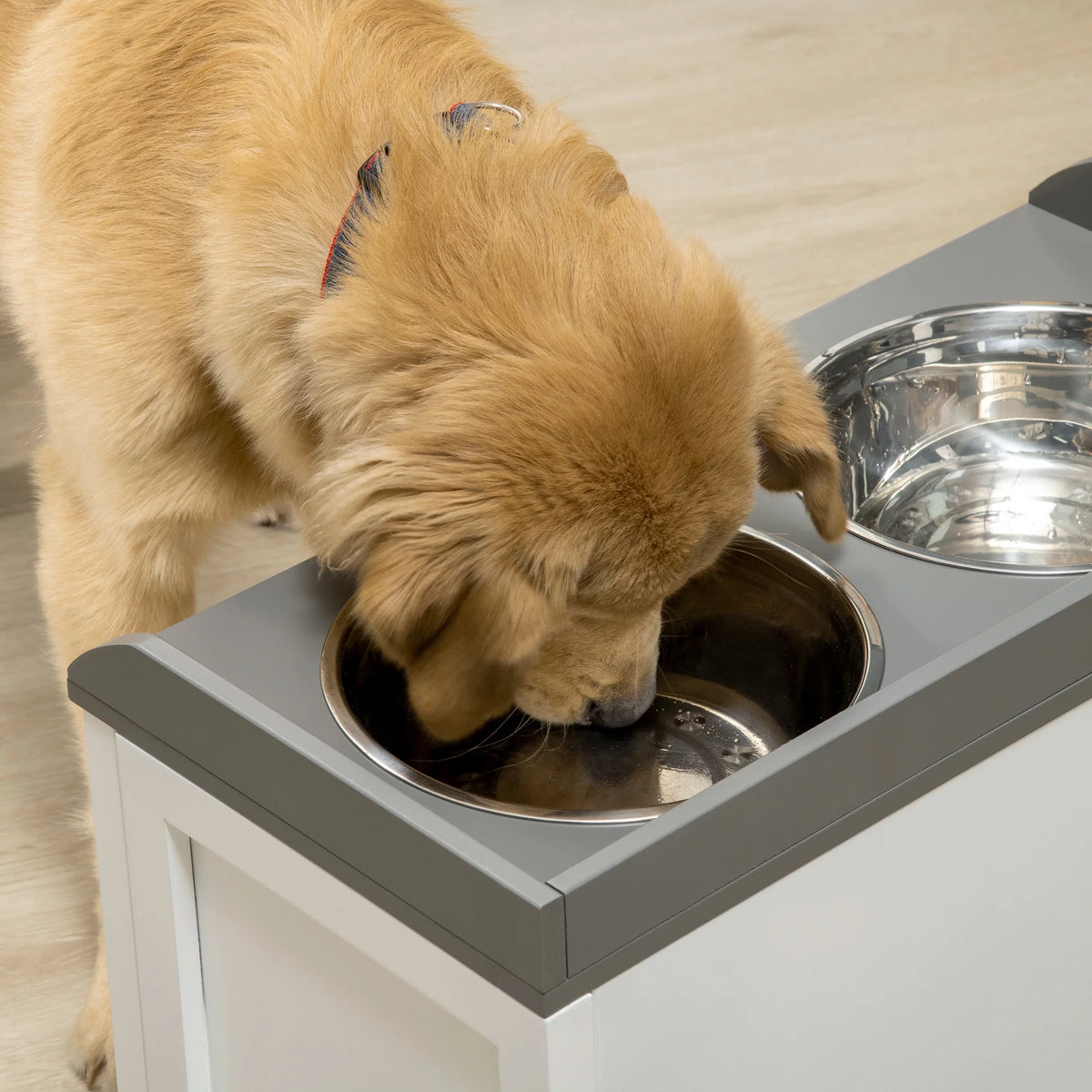Large Elevated Dog Bowls with 2 Stainless Steel Bowls G498805