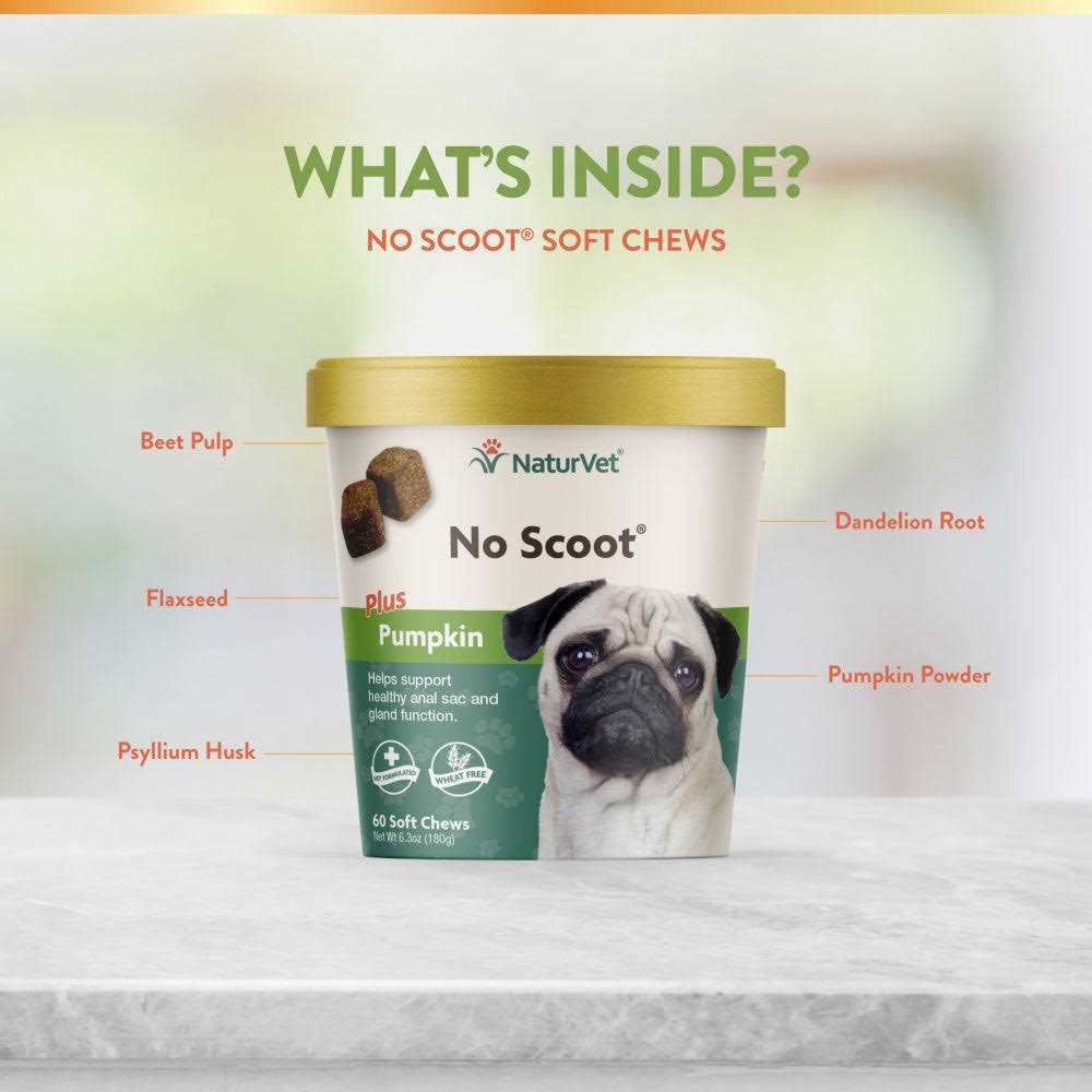 No Scoot Plus Pumpkin for Dogs I21744