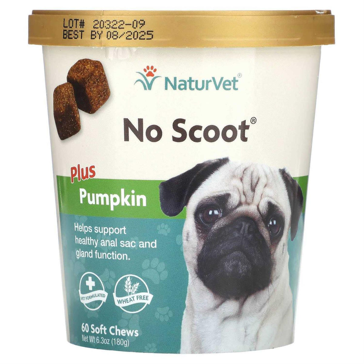 No Scoot Plus Pumpkin for Dogs I21744
