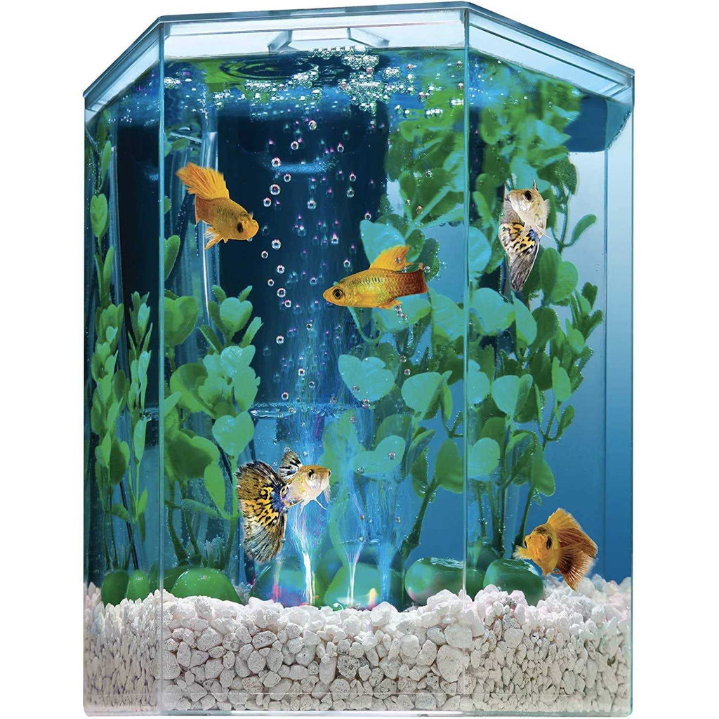 Pet Supplies N231455