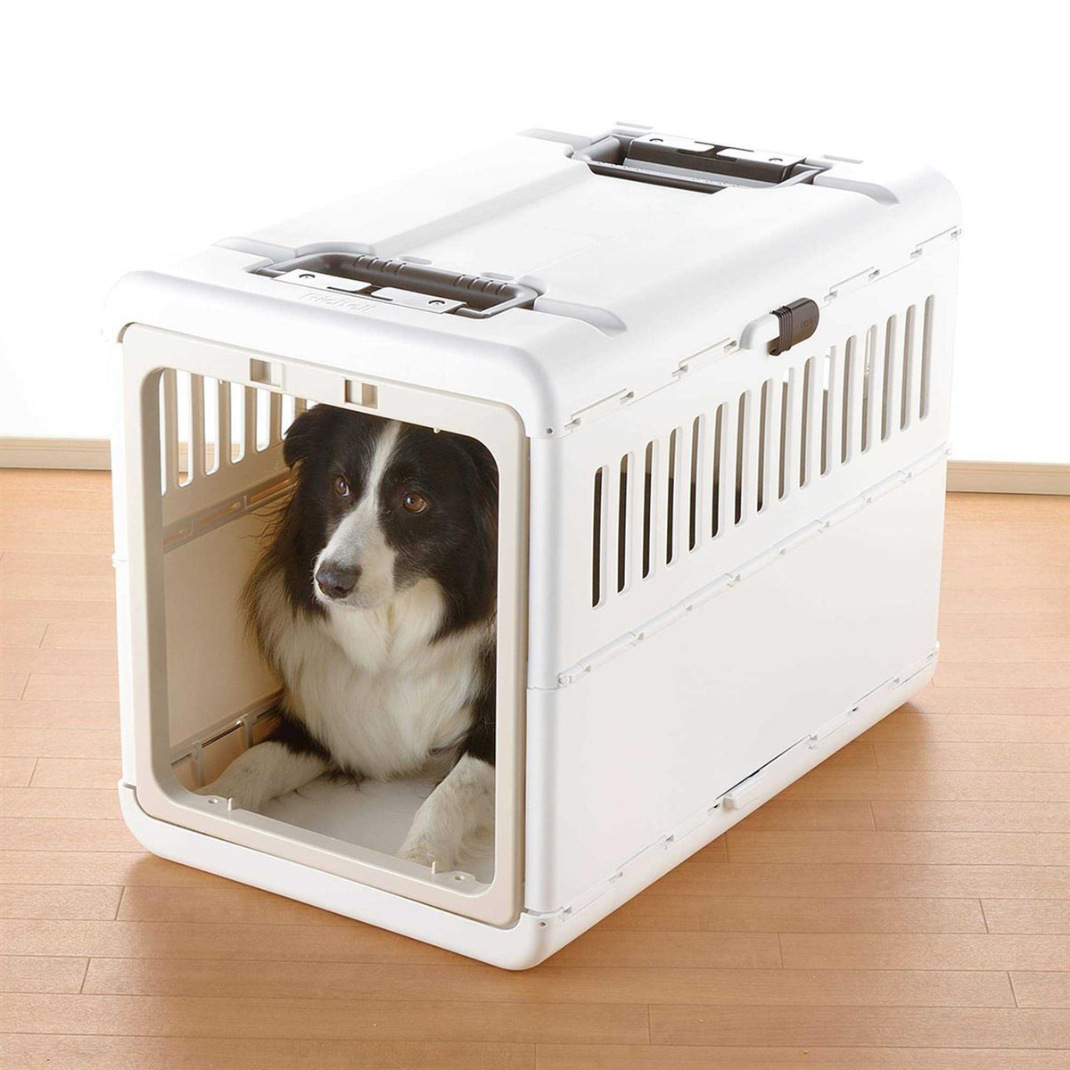Foldable Pet Carrier Y9943