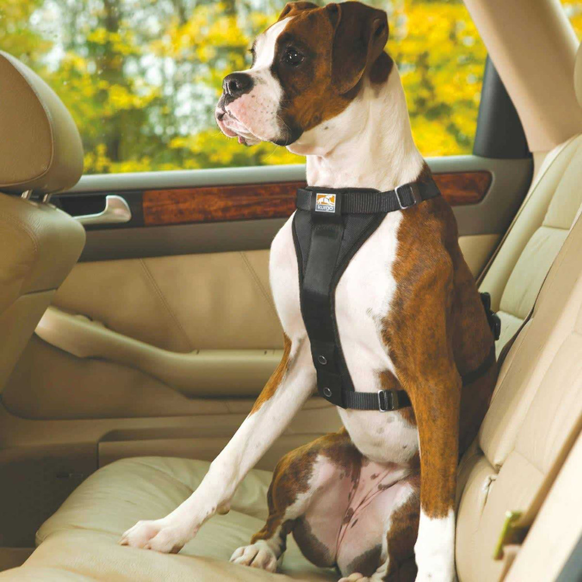 Pet Harness L76512