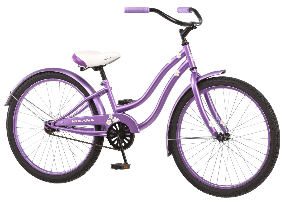 Blue 26-Inch Cruiser Bike C913