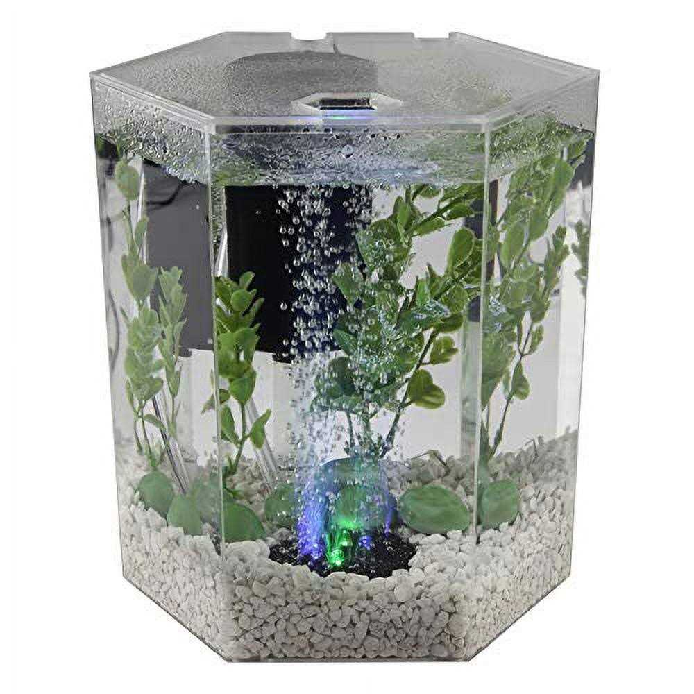 Pet Supplies N231455