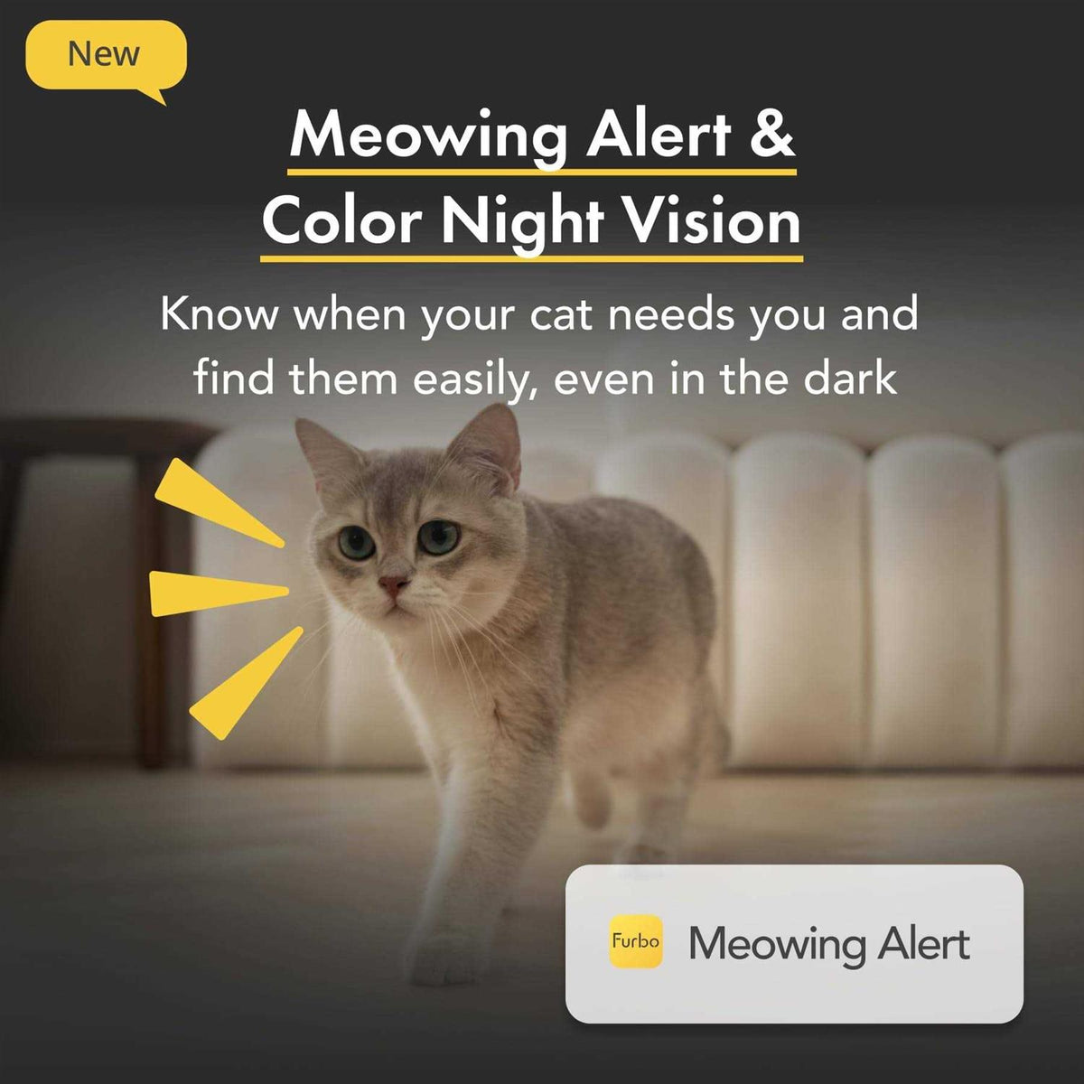 360 View Cat Camera Treat Dispenser U622015