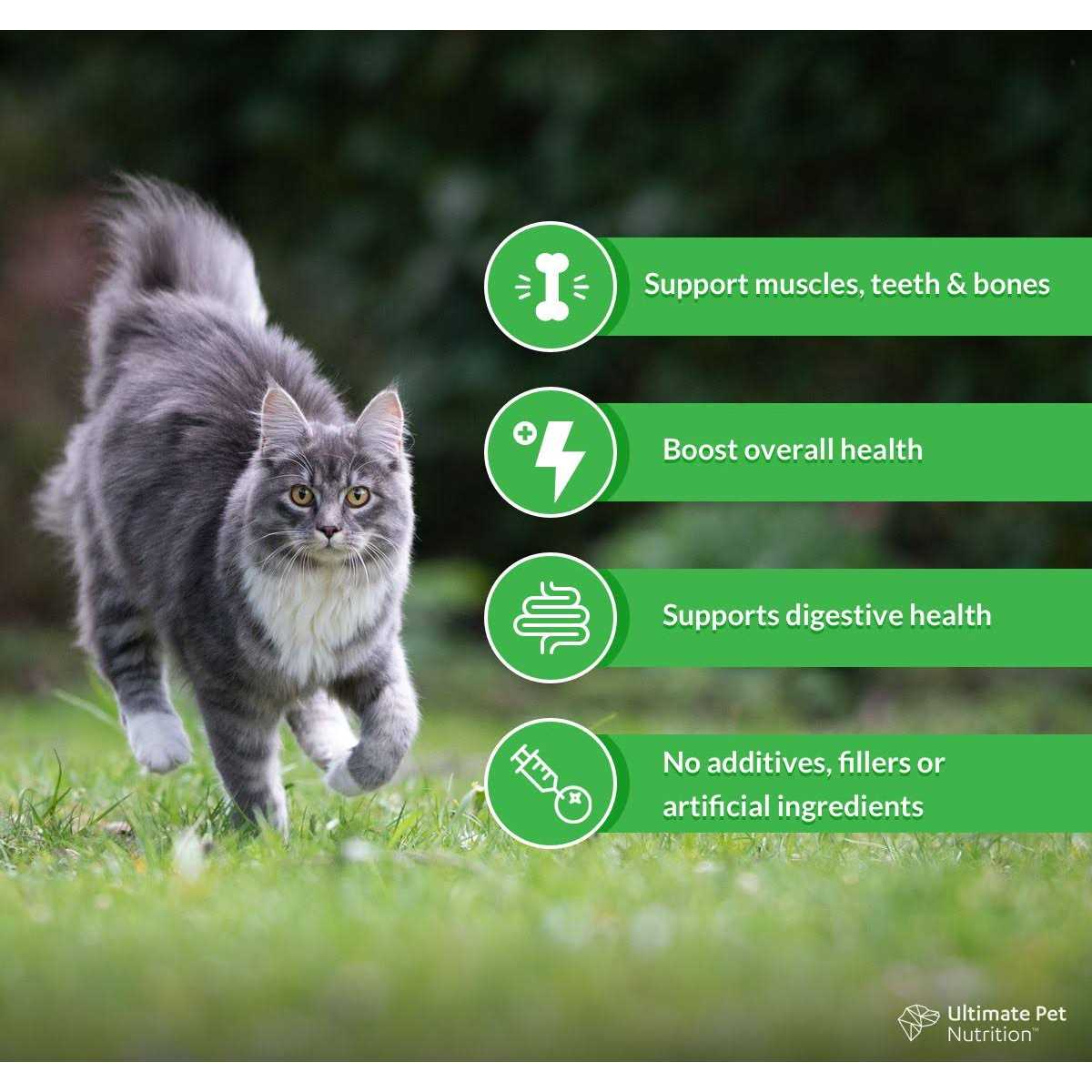 Cat Nutritional Supplement Y914
