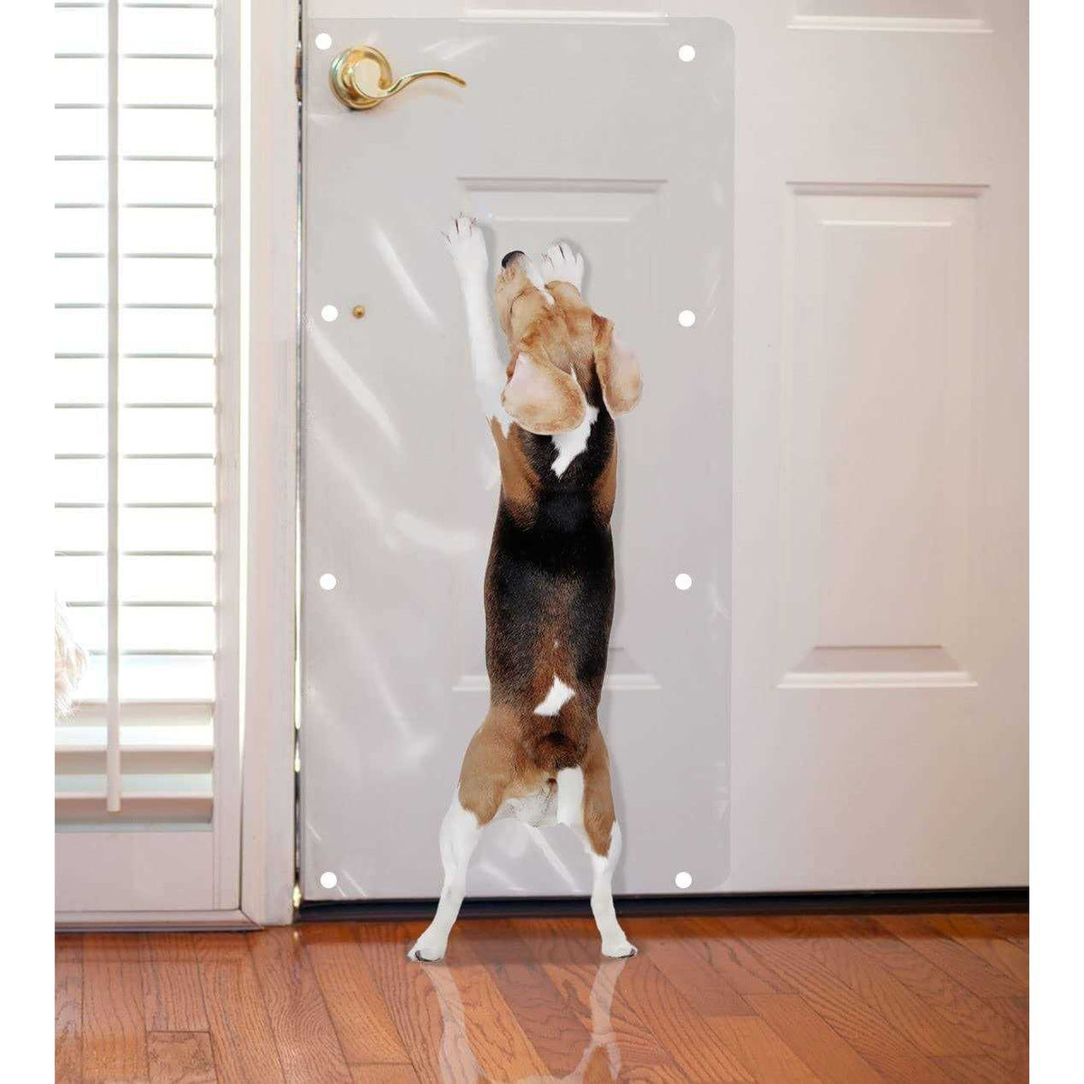 Dog Scratch Shield R843
