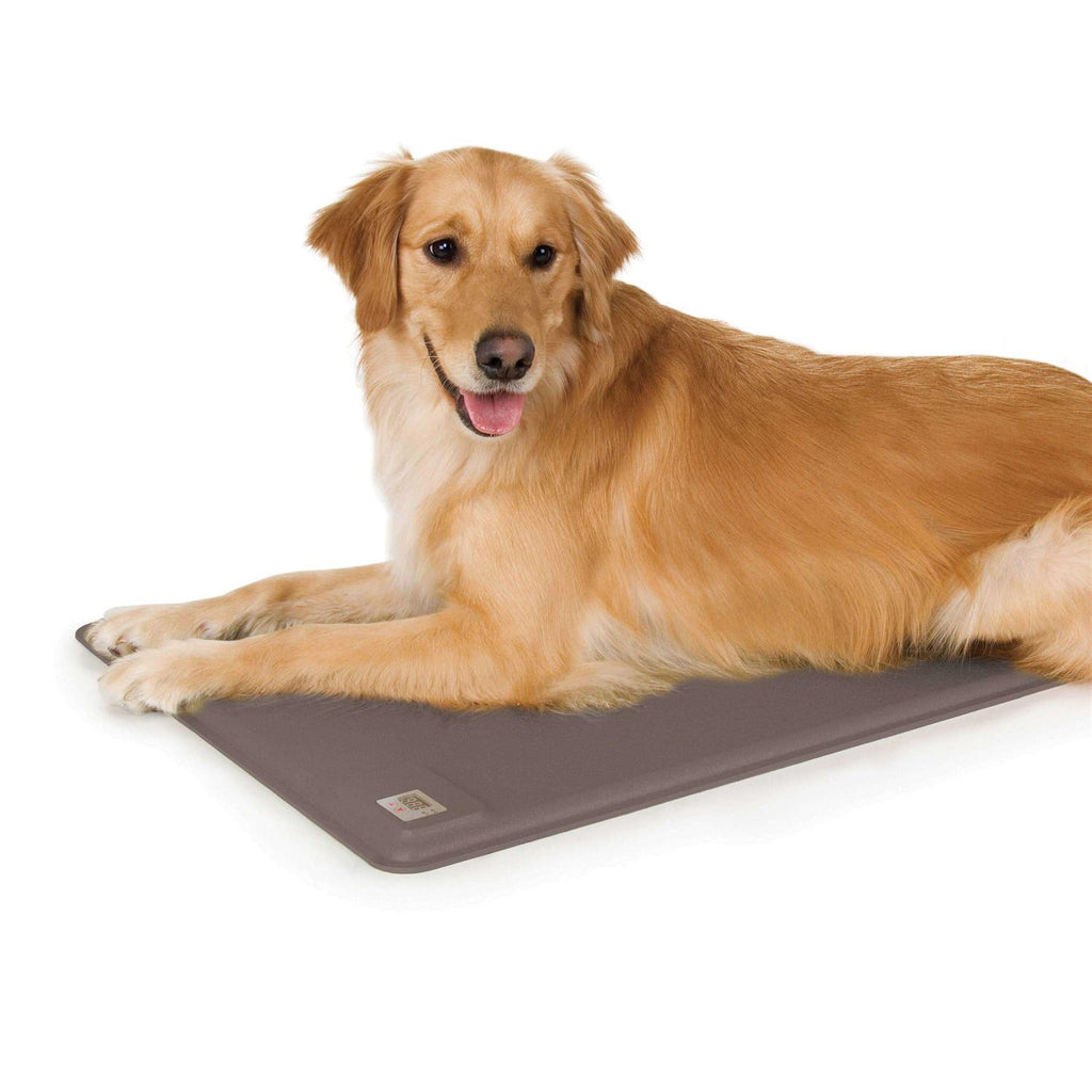 Pet Products Deluxe Lectro-Kennel Y545