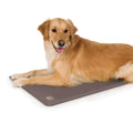 Pet Products Deluxe Lectro-Kennel Y545