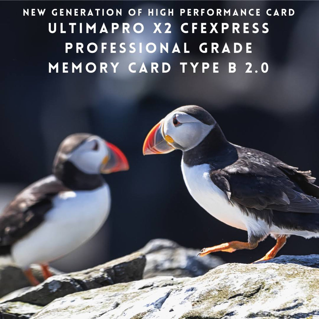 128GB CFexpress Memory Card A353740