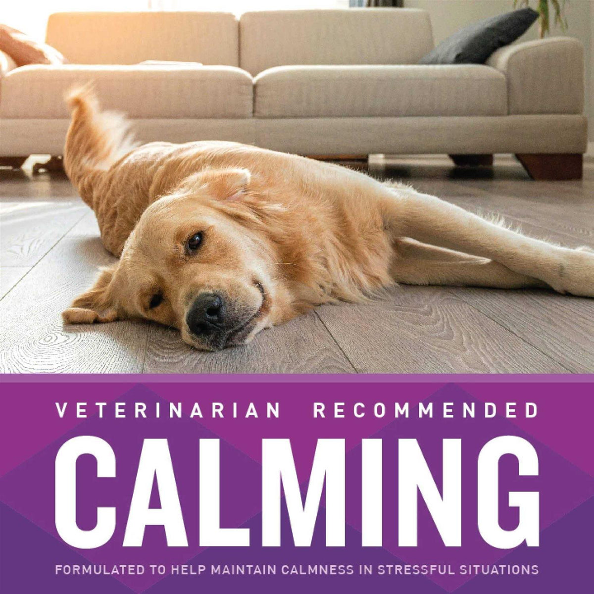 Calming Soft Chews L5918