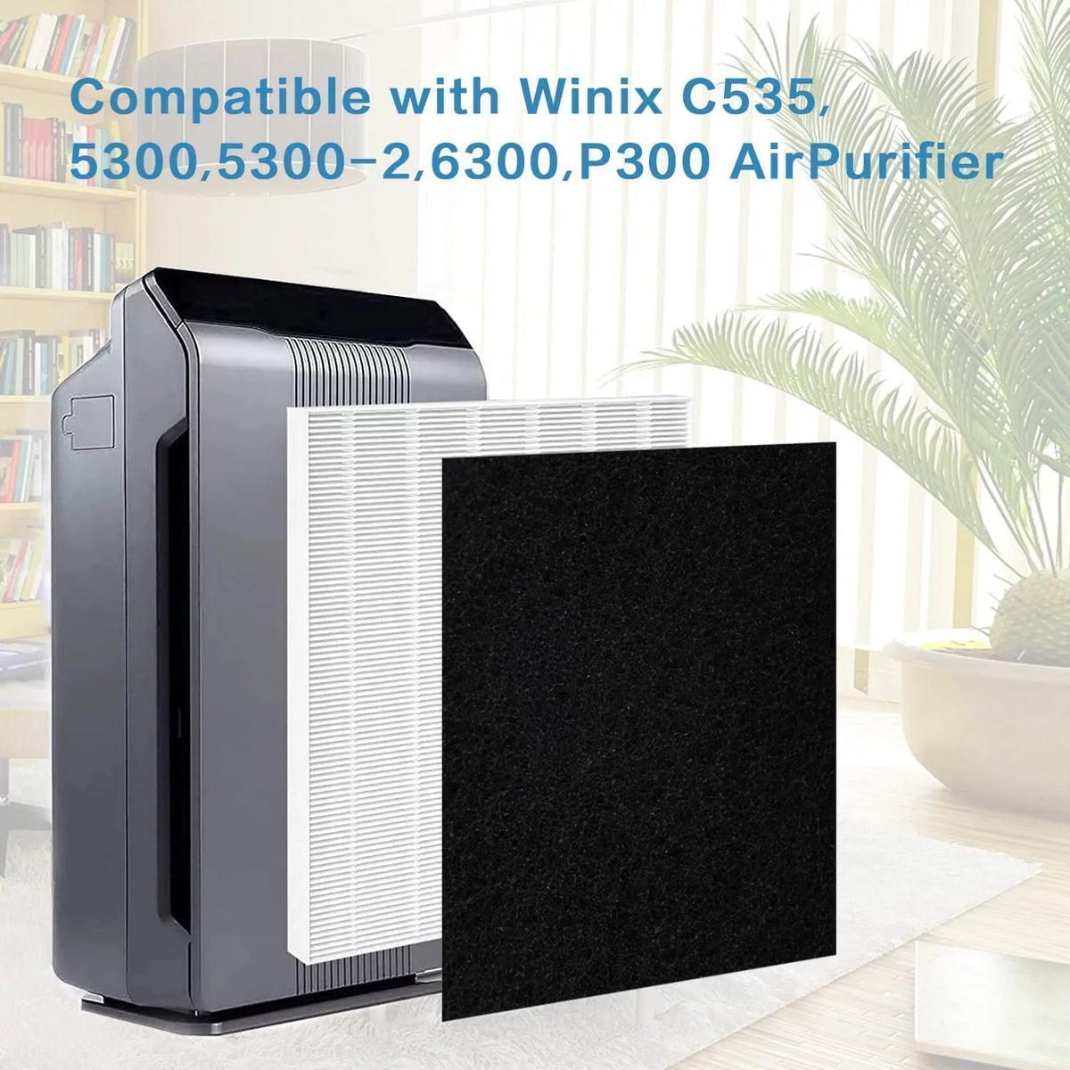 2 Pack Replacement True HEPA Size 21 Filters Plus 8 Carbon Pre-Filters W939701