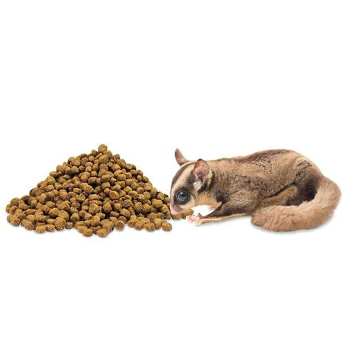 Sugar Glider Food F45944