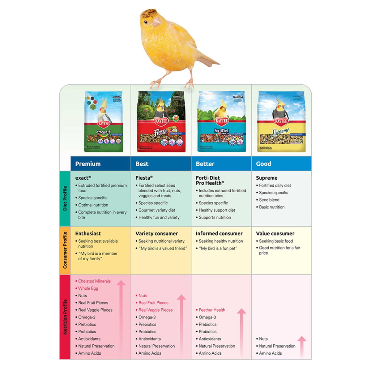 Parakeet Food H3485