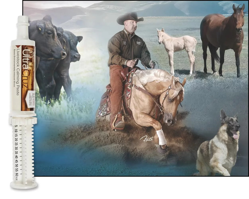 Livestock Calming Supplement 60 ml Paste 6/Pack R858122