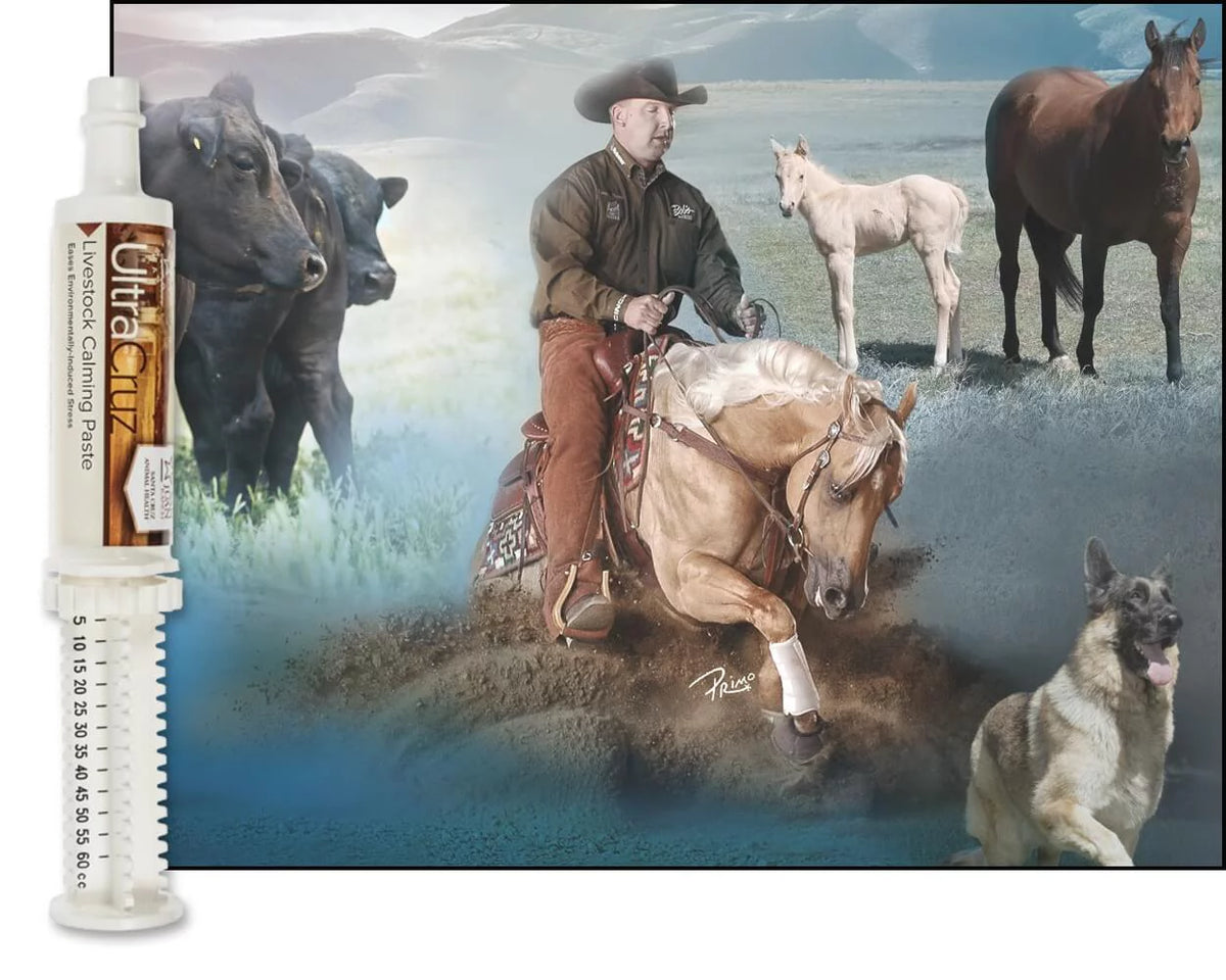Livestock Calming Supplement 60 ml Paste 6/Pack R858122