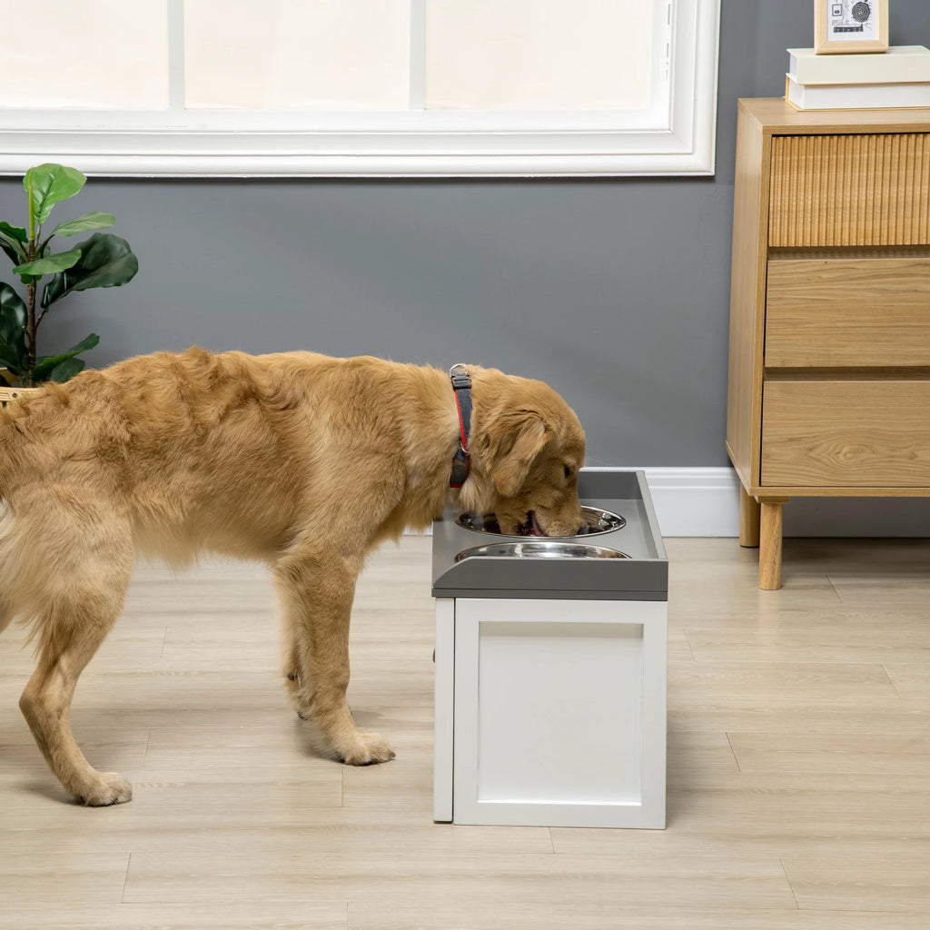 Large Elevated Dog Bowls with 2 Stainless Steel Bowls G498805