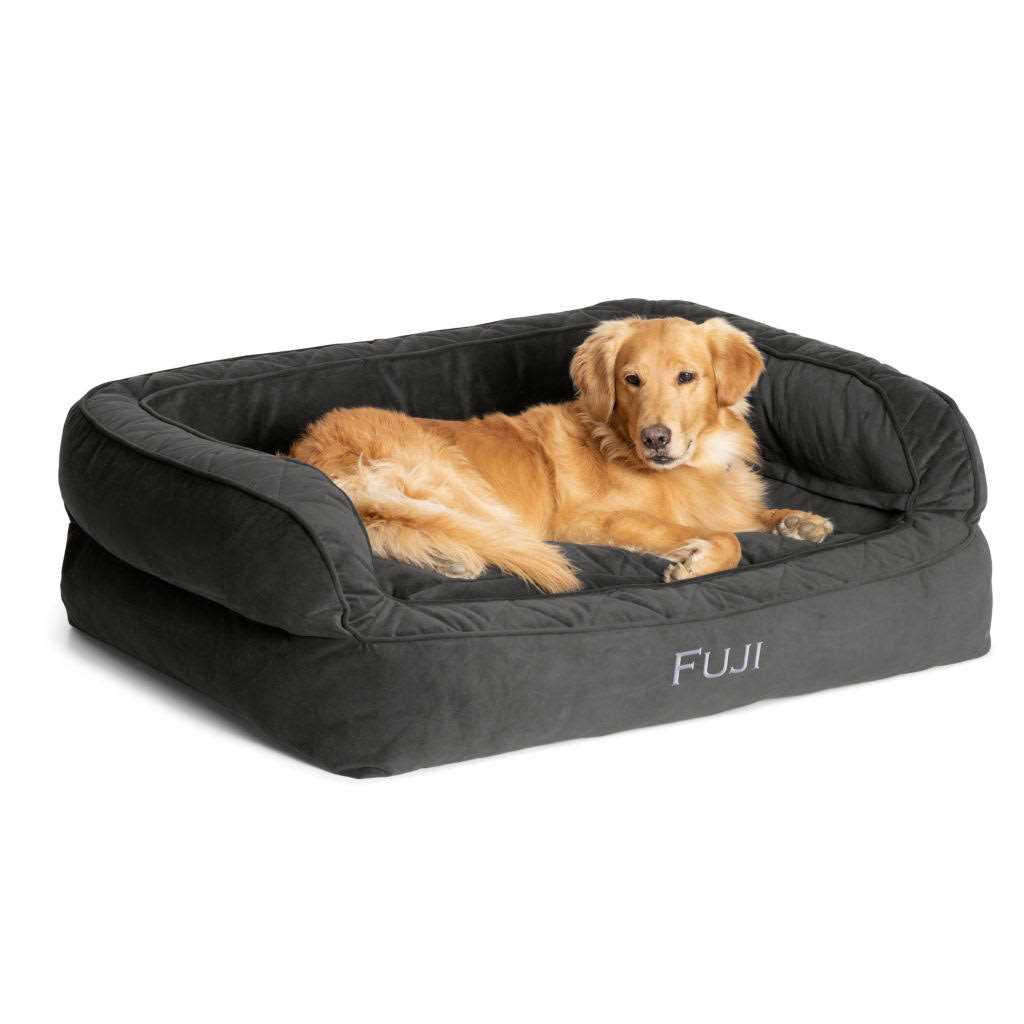 Dog Bed Q52198