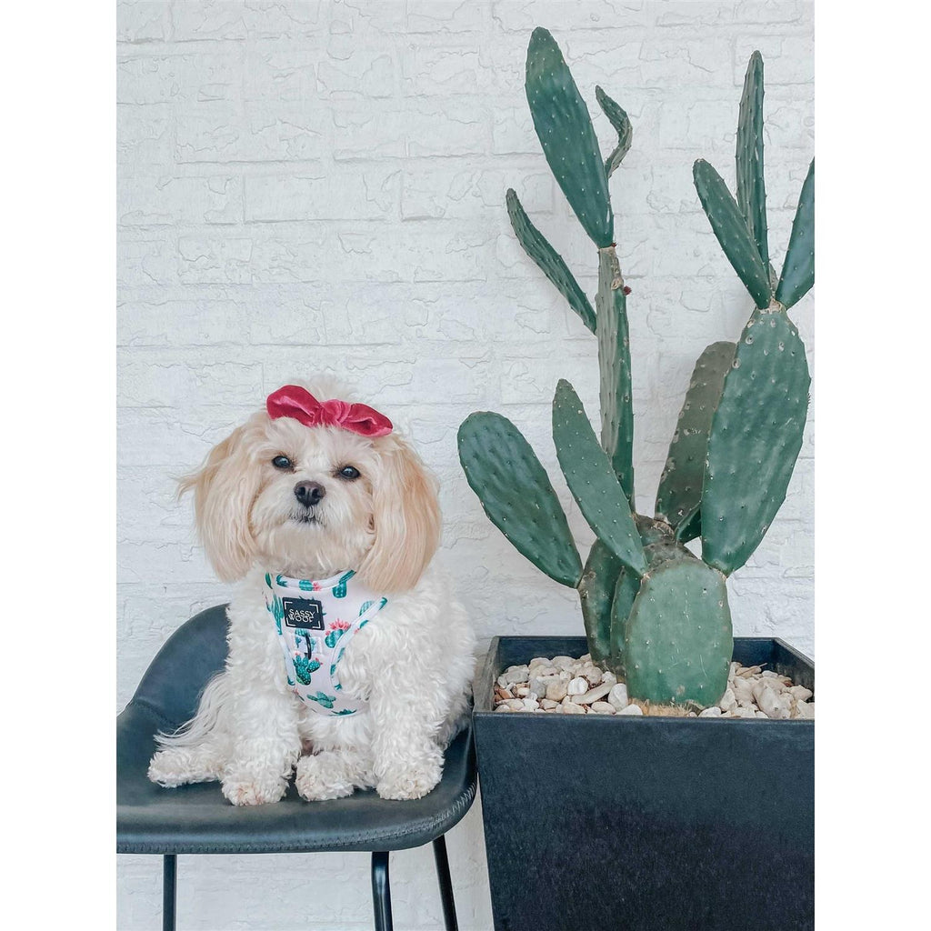 Adjustable Dog Harness H6351