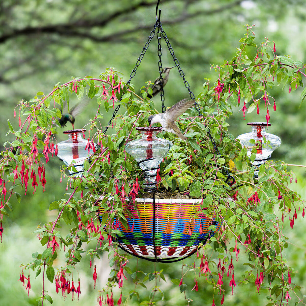 Hanging Basket Hummingbird Feeder P160