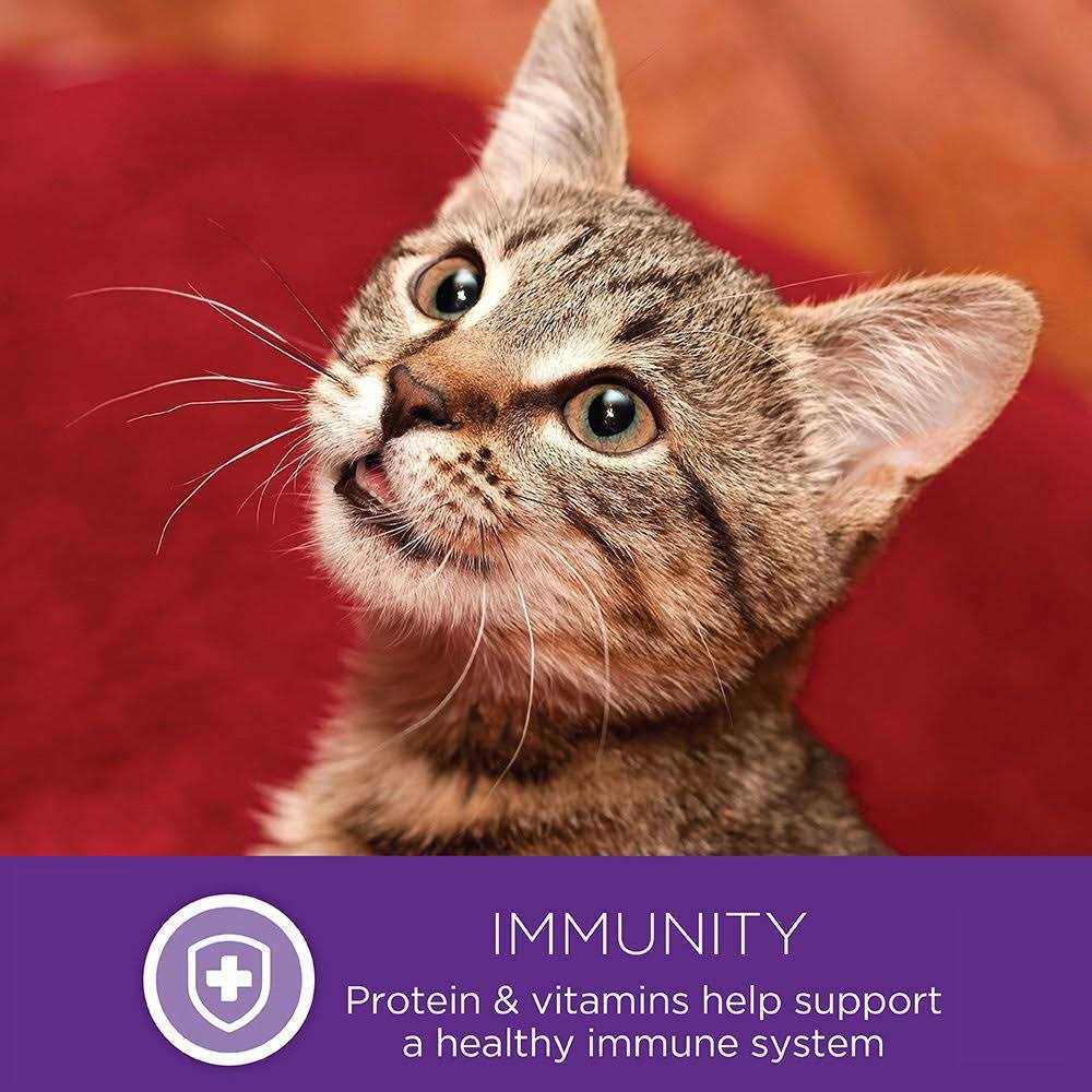 Natural Grain Free Gravy Cat Food Pouch S164952