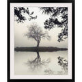 Photographic Print Black Frame 44x22 H x 37x22 W x 1x22 D B844