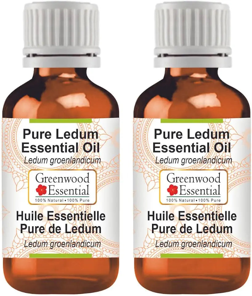 Ledum Essential Oil Steam Distilled Pack of Two 100ml B12385