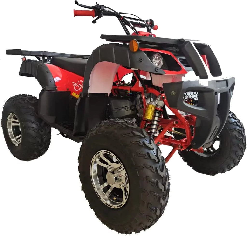 200cc Gas ATV with Automatic Transmission O58175