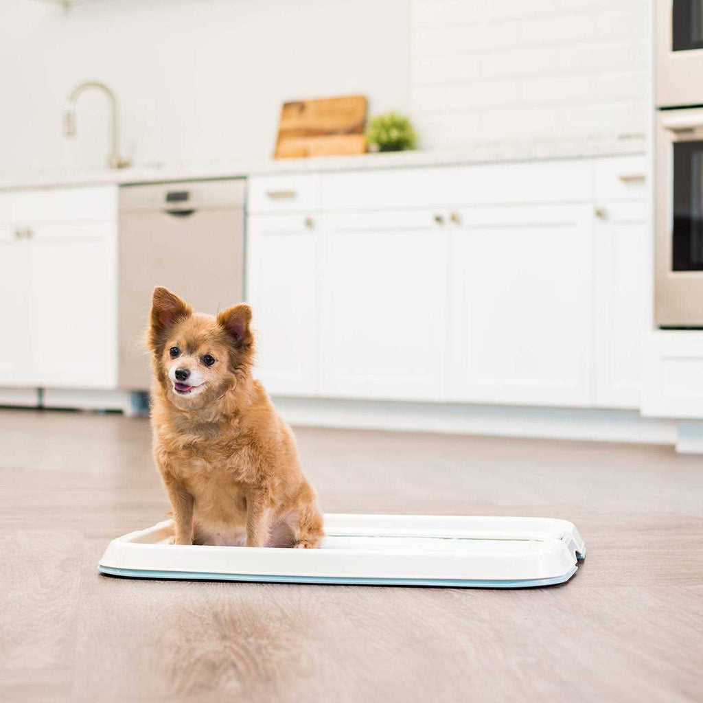 Square Pet Training Pad Holder W165