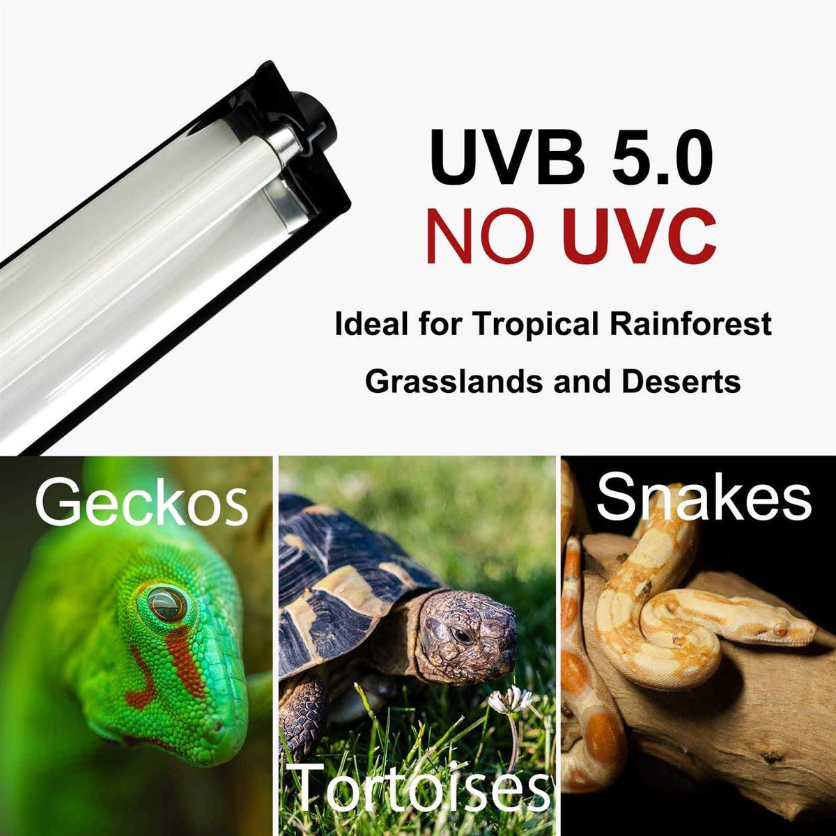 T5 HO UVB Lighting Combo Kit with UVB 10.0 Fluorescent Tube J24991