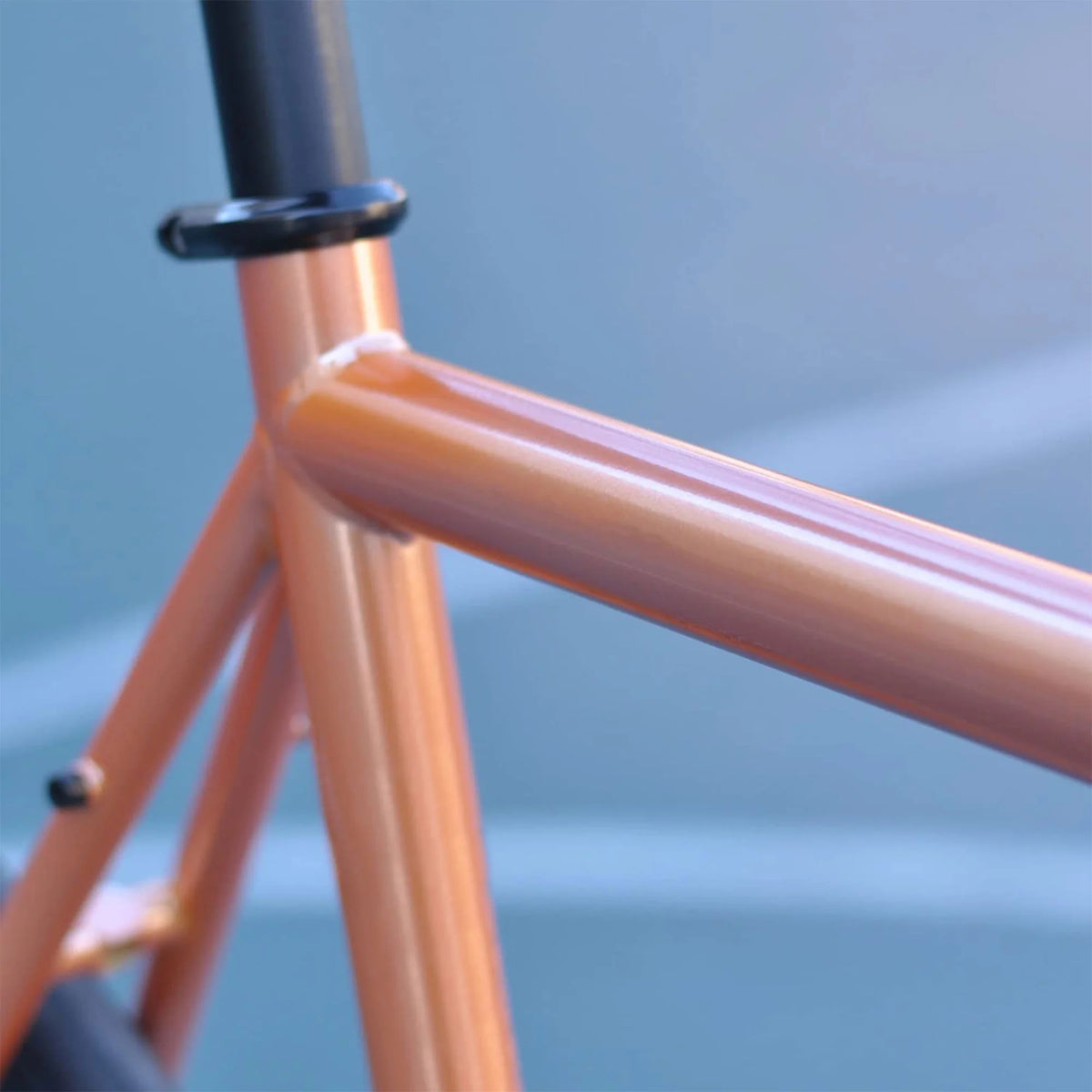 700C Single Speed Fixed Gear Bike F4290