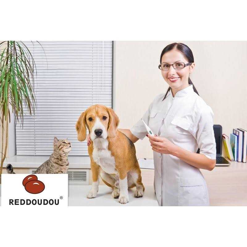 Digital Pet Thermometer M8505