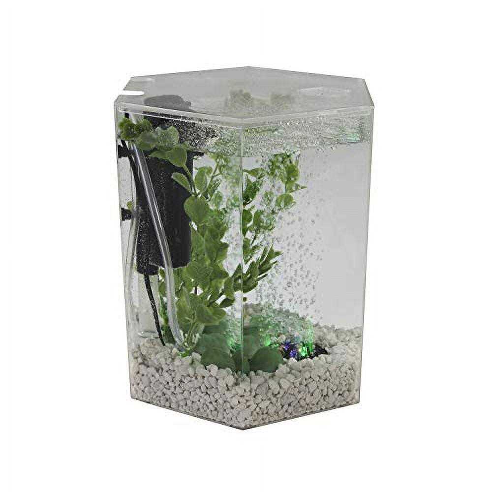Pet Supplies N231455