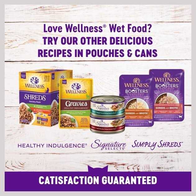 Natural Grain Free Gravy Cat Food Pouch S164952