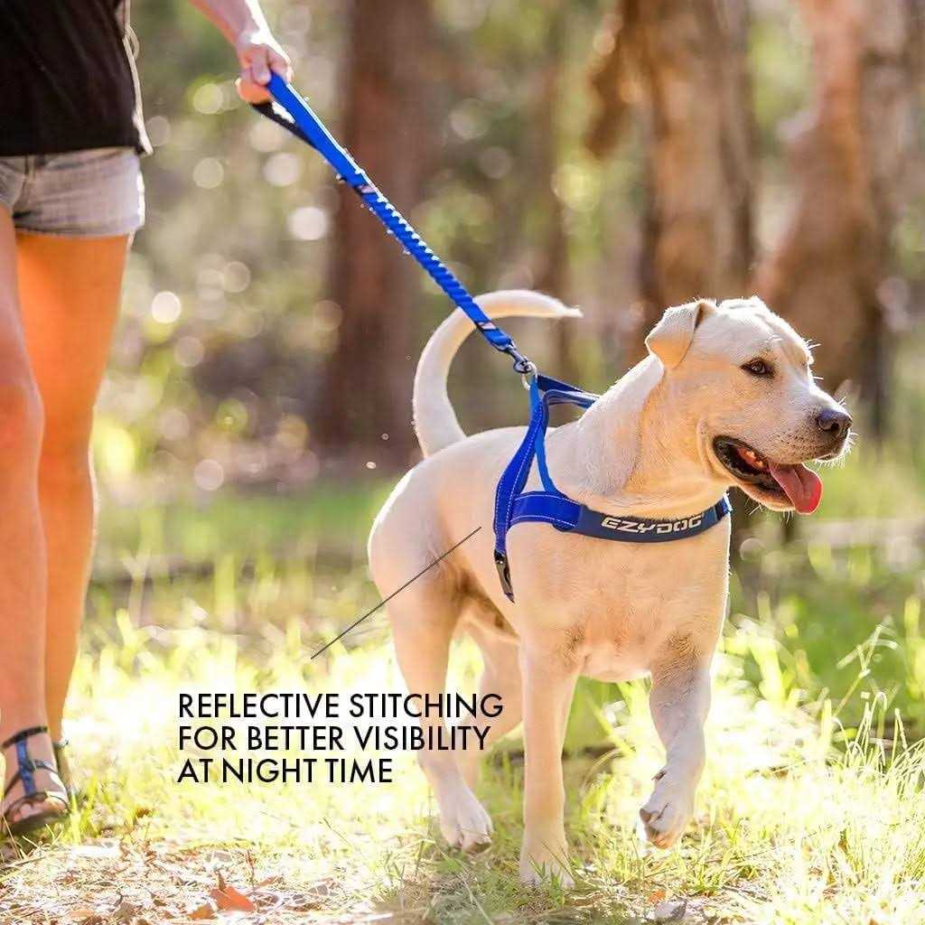 Quick Fit Dog Harness Y199178