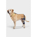 Adjustable Hinged Dog Knee Brace J24303