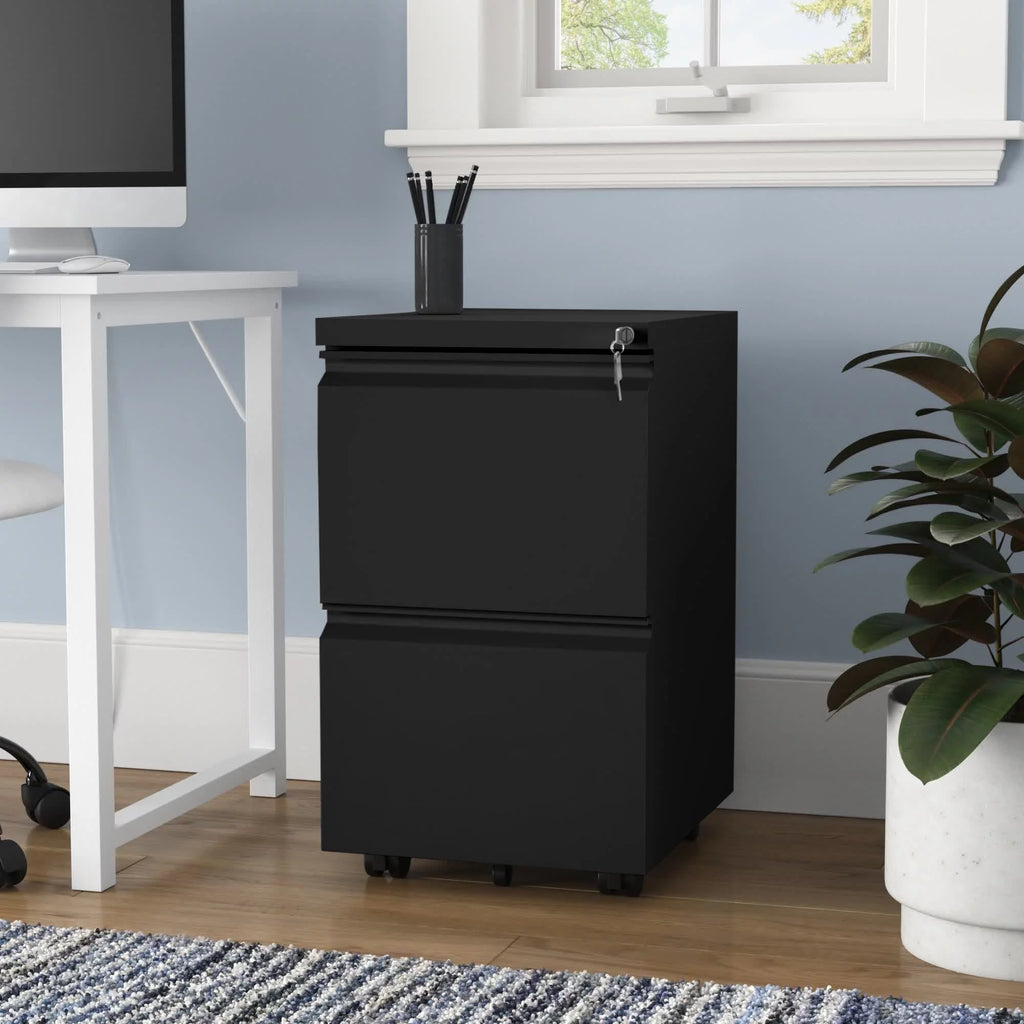 2-Drawer Locking Steel File Cabinet T37866