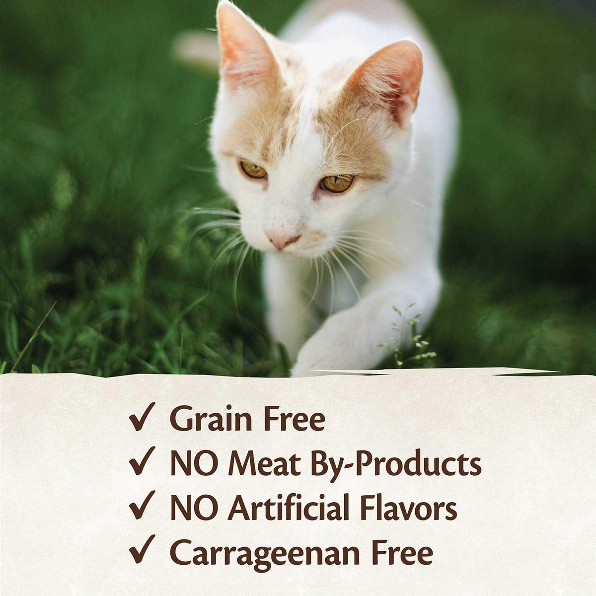 95% Cat Food D621918