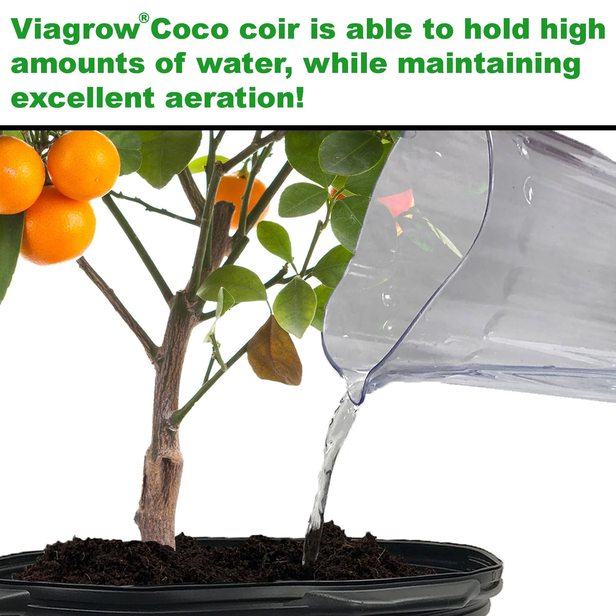 11 lb. Coconut Coir Block W12877