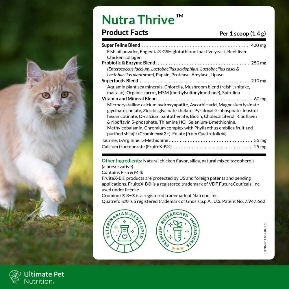 Cat Nutritional Supplement Y914