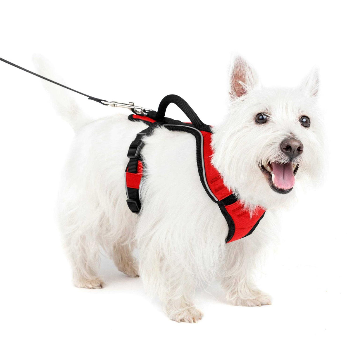 Dog Harness K167