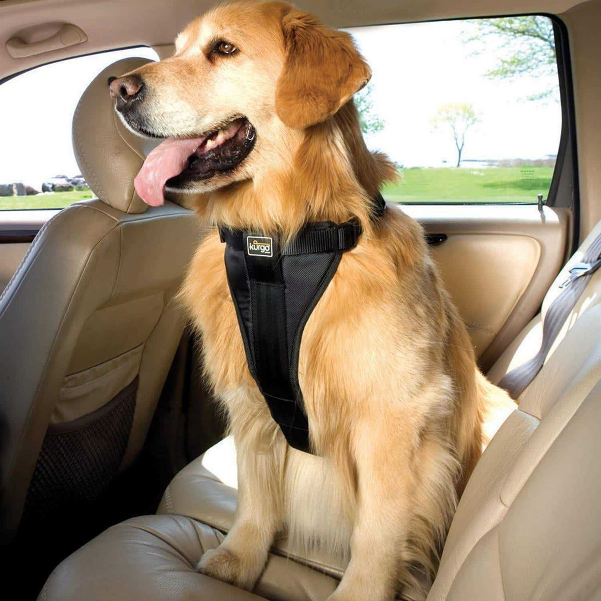 Pet Harness L76512
