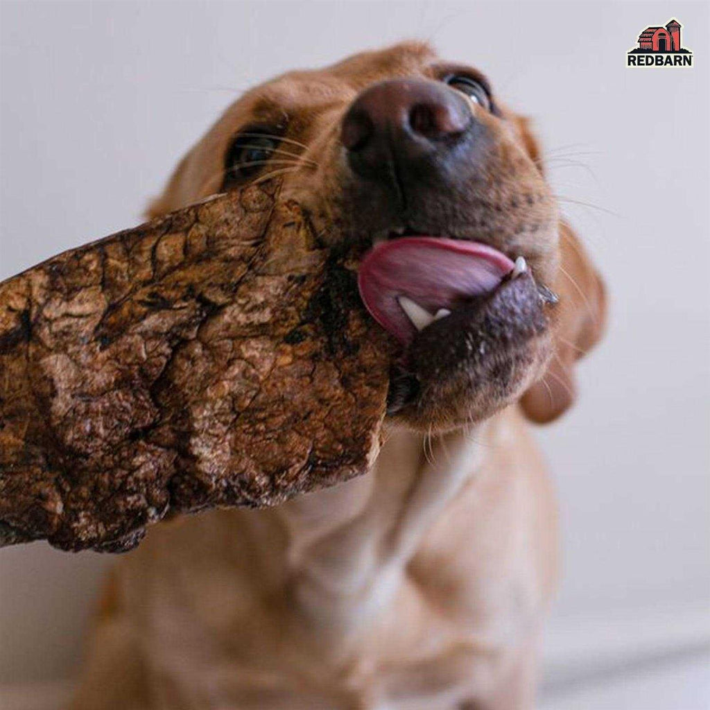 Dog Treats X641773