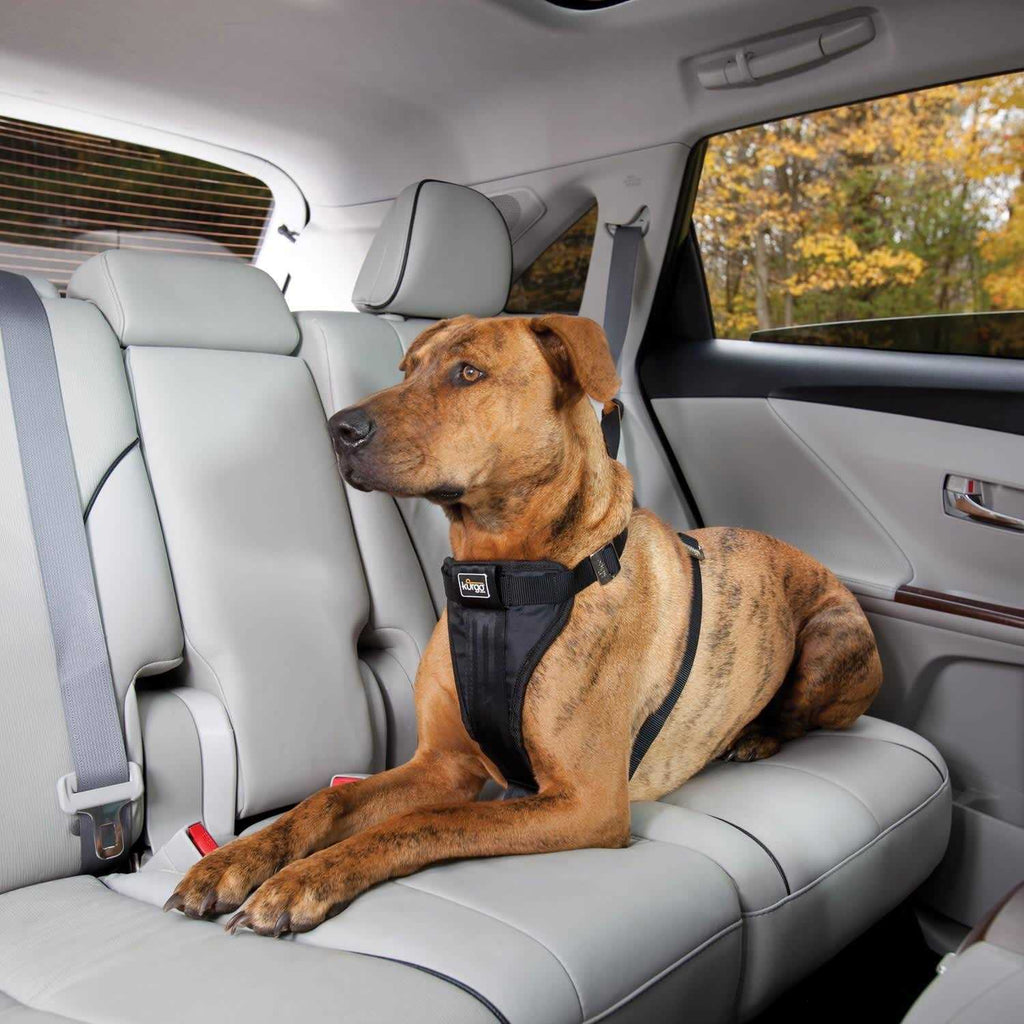 Pet Harness L76512