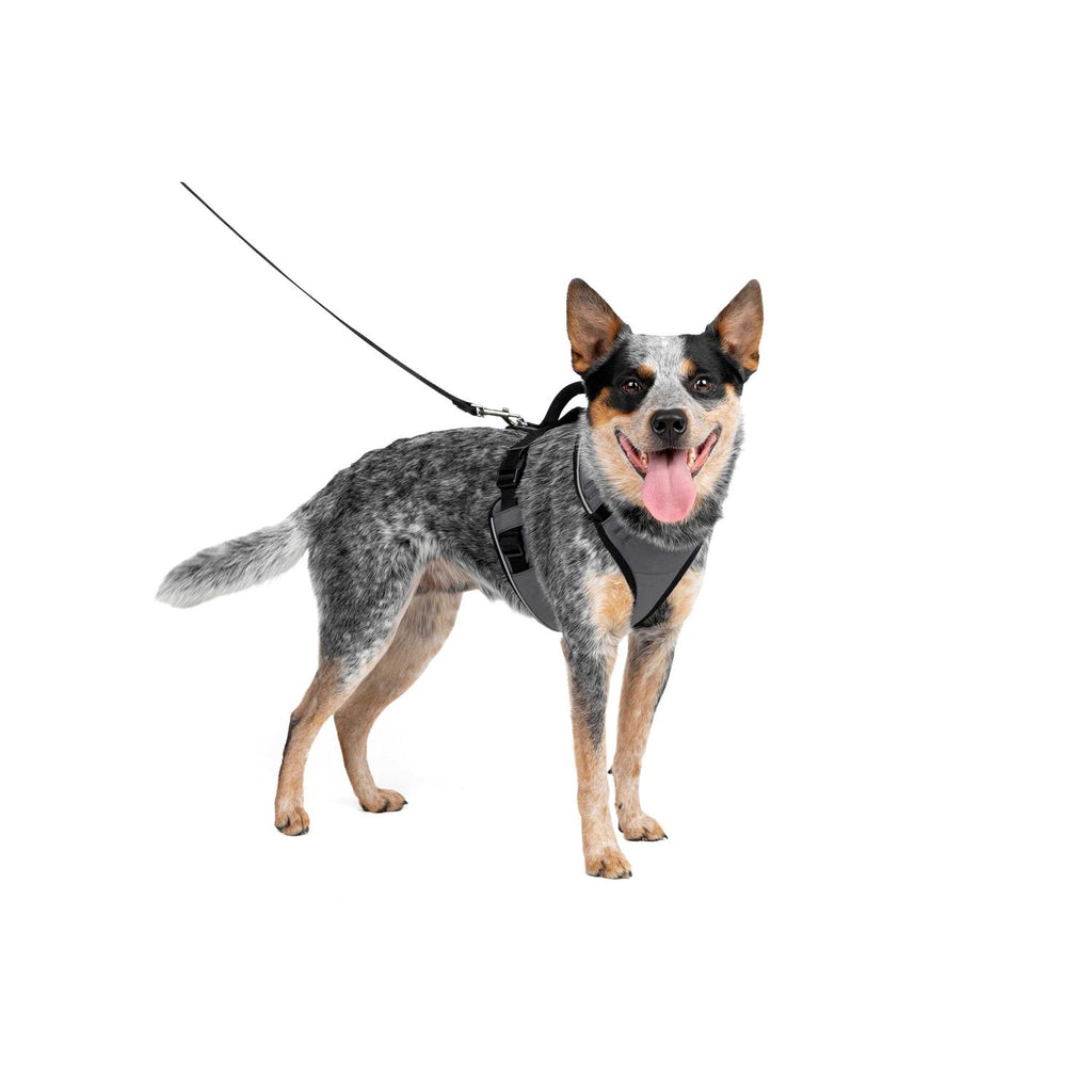 Dog Harness K167