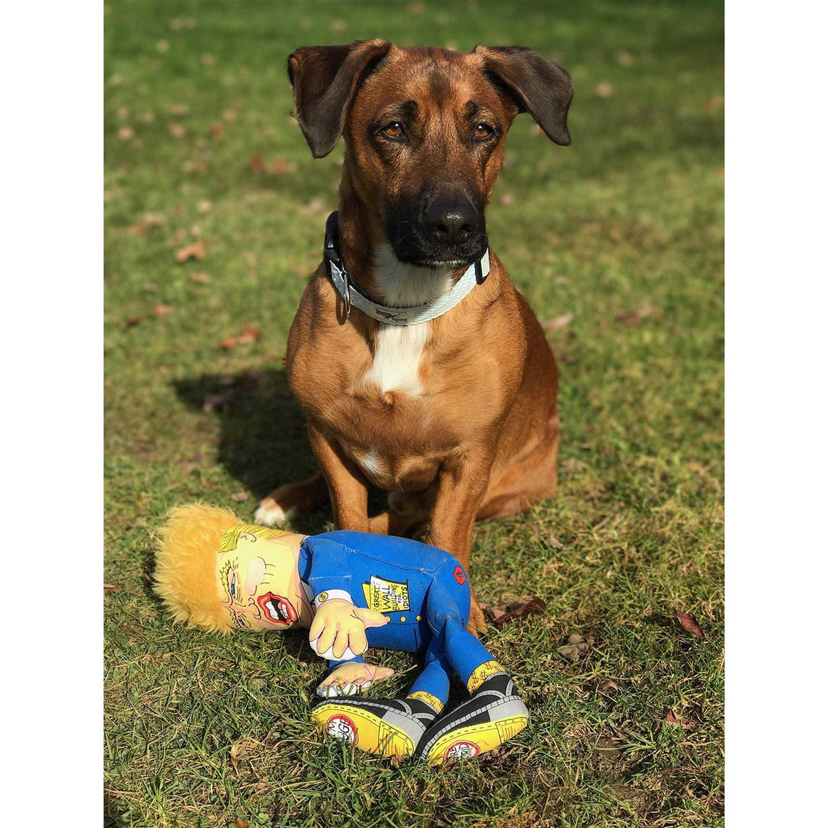 Donald Parody Dog Toy O8466